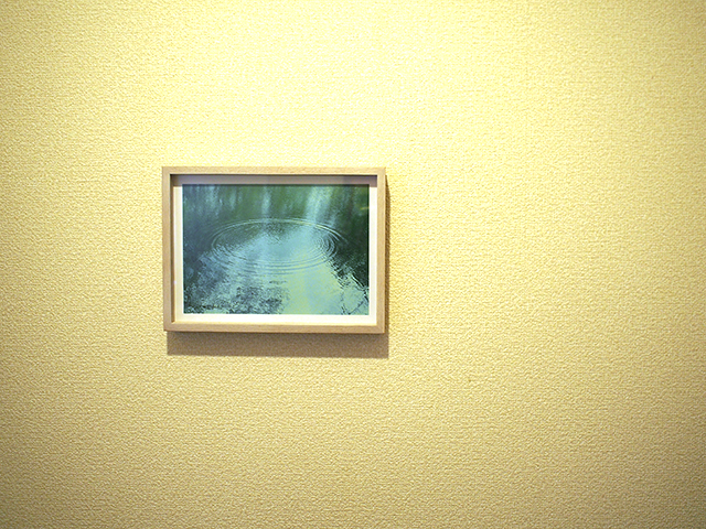 豊かさとは何かを考えた時、トイレに写真を飾ってみたいと思った。