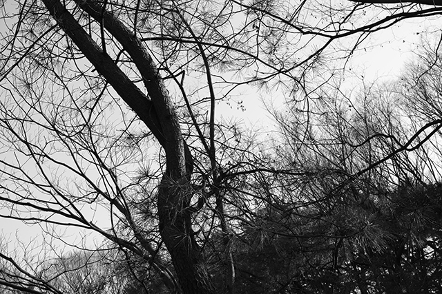 やっぱ羽目は外せない性分。気心知れた飲みの席でも同じ。