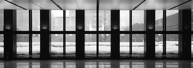 東京の雪とは思えない。