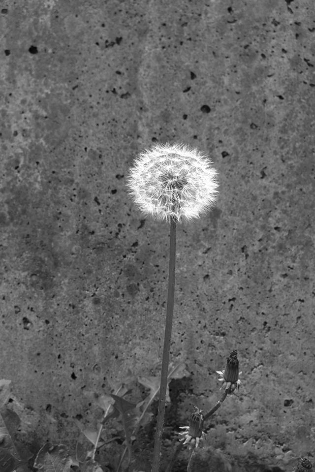 CL決勝戦はシメオネ監督が一番輝いていた。