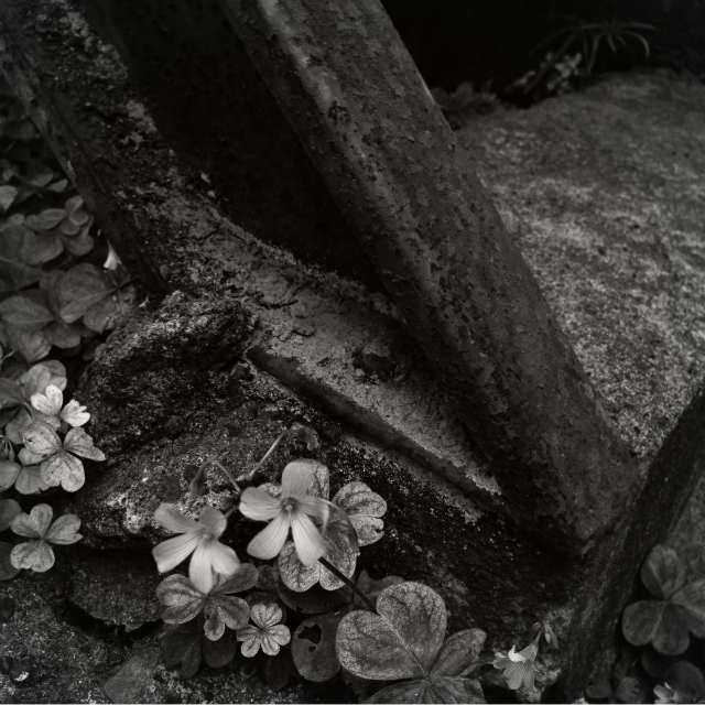 常用フィルムは400TMY。1.5倍の値上げでも慌てず急がず。でも少し買い置きしたくなる。