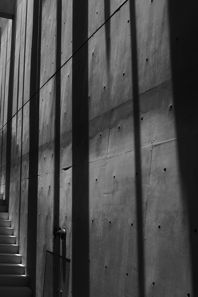 増山たづ子さんの展示を見入る。とてつもなく「写真」を感じた。