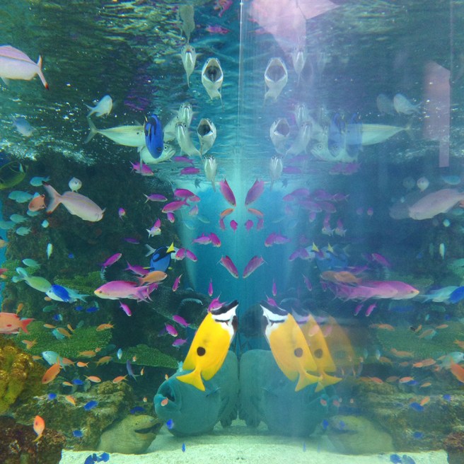 01f9b60130cedfe4075168f505be4e04b2b12de56f