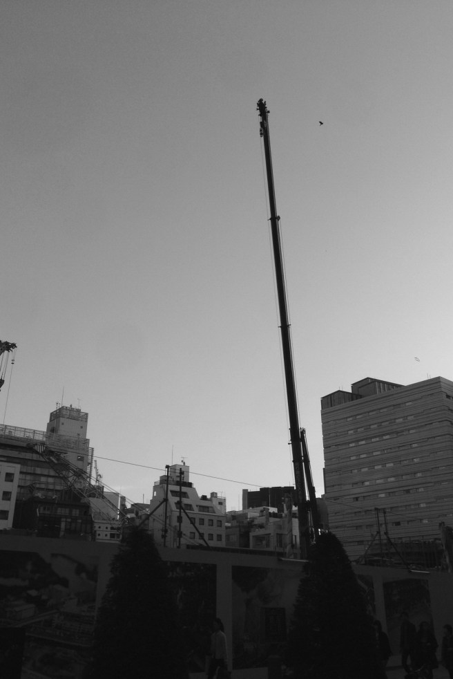 015b3c97503bd66e9d5a1162113b5dbb92875c4fc6