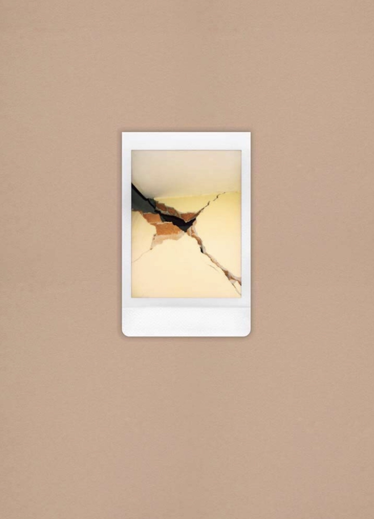 ポラロイドの写真集〈その4〉 | 写真と文具